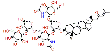 Sarasinoside B3